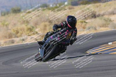 media/Nov-11-2023-SoCal Trackdays (Sat) [[efd63766ff]]/Turn 16 (11am)/